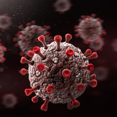 Coronavirus Image - Coronavirus particle